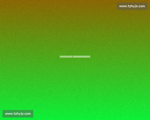 西内尔官宣执教布鲁日 拒绝多国邀约开启比利时新挑战