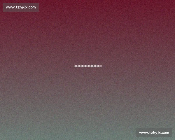 蝶翼齐舞：特谢拉与路易斯的申花救赎之路