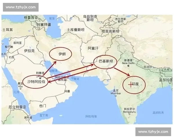 印度对阵伊朗的地缘博弈与能源外交新走向解析南亚中东局势影响评估