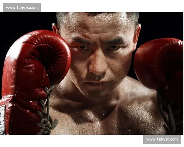 泰拳vs散打规则技法体能对抗与实战胜负全面解析风格差异核心对比